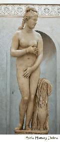 Venus Braschi