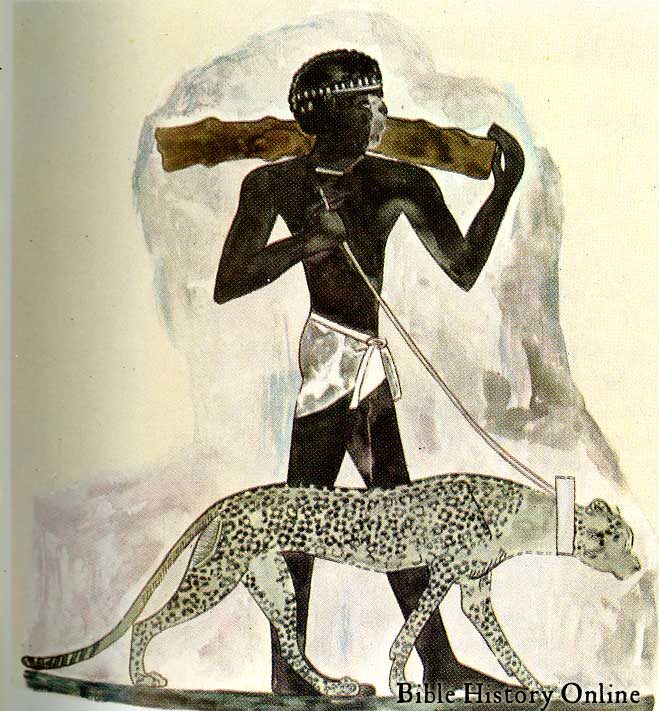[Image: ethiopian-leopard-wall-painting.jpg]