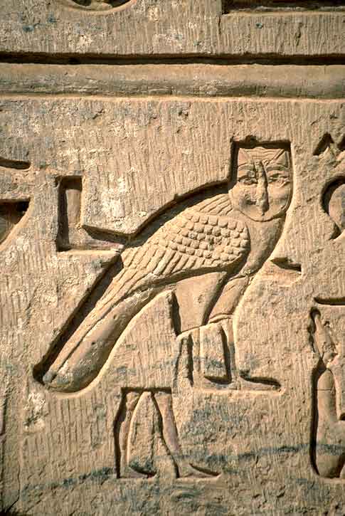 Images Of Hieroglyphics