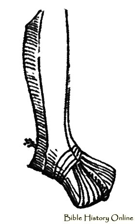 Greave With Soleret From Suit Called Maximilian Images Of Ancient Feet Armors Weapons And Warfare At Bible History Online