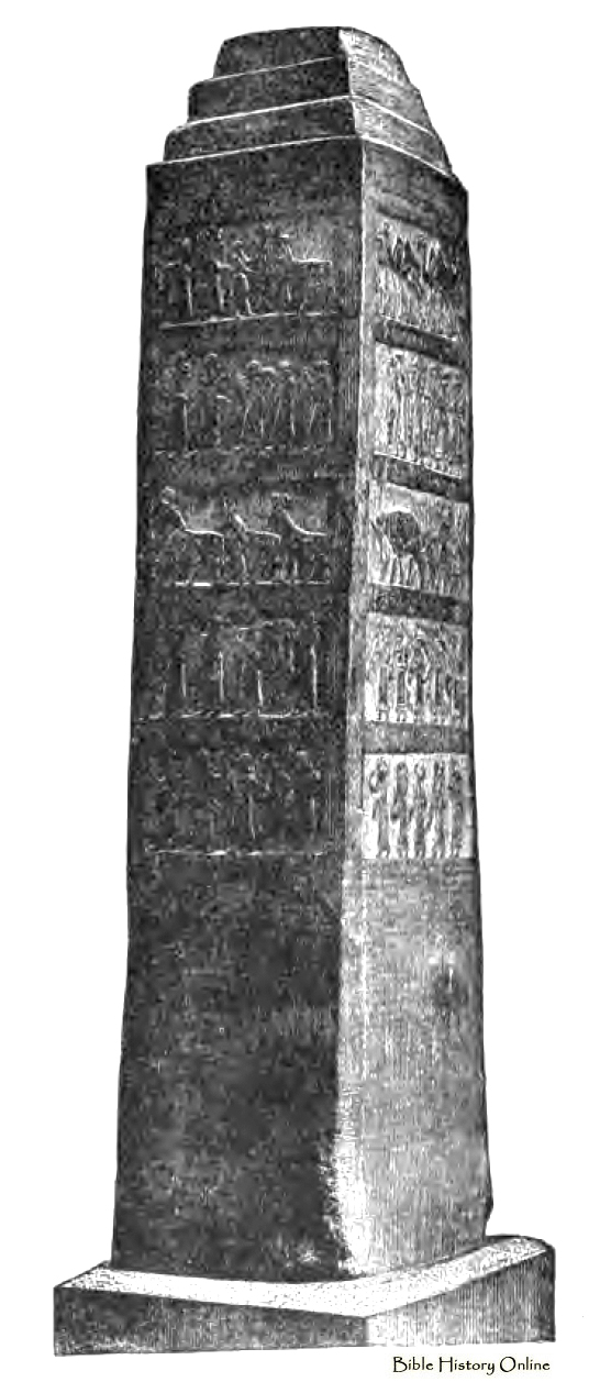 Bible History Daily - Biblical Archaeology Society